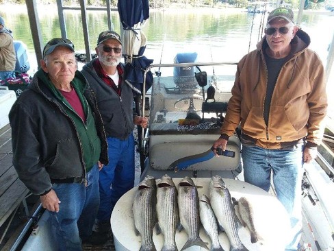 Nice Striped Bass