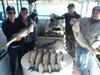 (10/18/2019) - Nice Striped Bass