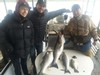 (03/15/2020) - Nice Striped Bass