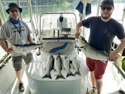 Nice Striped Bass