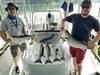 (05/05/2020) - Nice Striped Bass