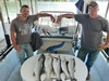 (06/11/2020) - Nice Striped Bass