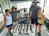(06/16/2020) - Nice Striped Bass