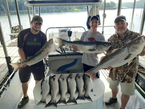 Nice Striped Bass