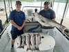 (06/20/2020) - Nice Striped Bass
