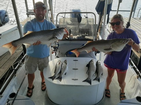 Nice Striped Bass