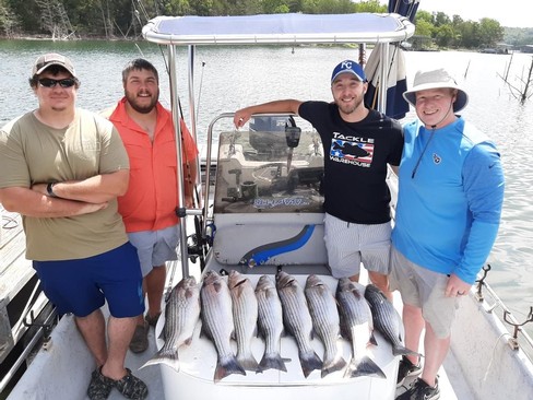 Nice Striped Bass