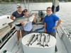 (07/15/2020) - Nice Striped Bass