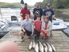 (08/02/2020) - Nice Striped Bass