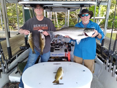 Nice Striped Bass
