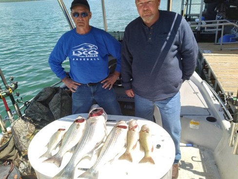 Nice Striped Bass