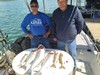 (05/03/2021) - Nice Striped Bass