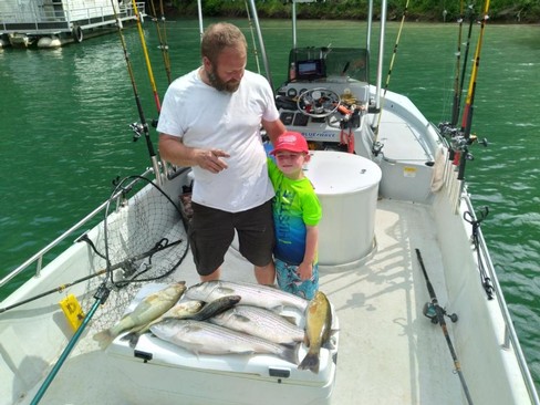 Nice Striped Bass