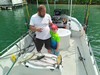(05/23/2021) - Nice Striped Bass