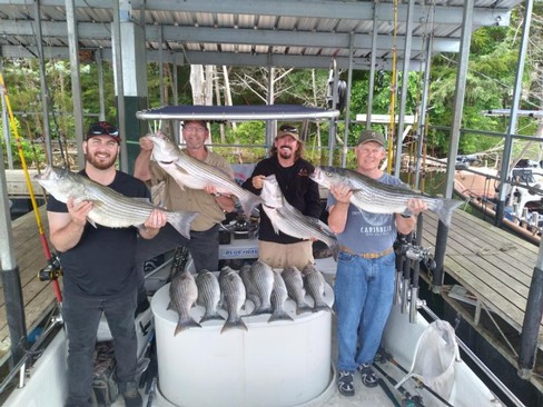 Nice Striped Bass