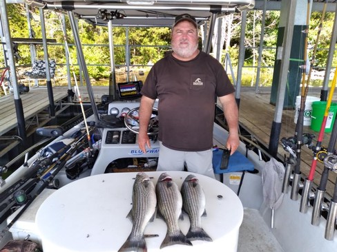 Nice Striped Bass