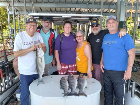 Nice Striped Bass