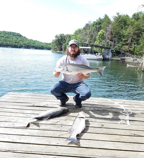 Nice Striped Bass