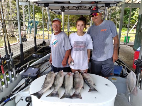 Nice Striped Bass