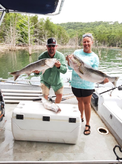 Nice Striped Bass
