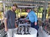 (07/27/2021) - Nice Striped Bass
