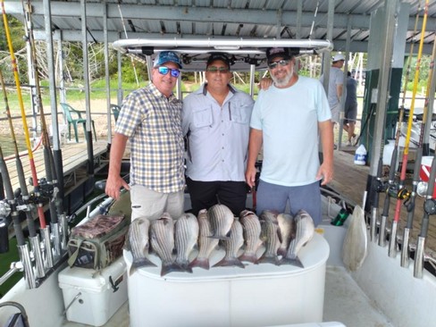 Nice Striped Bass