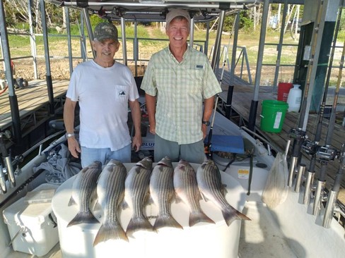 Nice Striped Bass