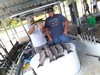(09/20/2021) - Nice Striped Bass