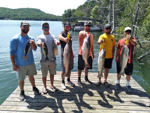 Nice Striped Bass