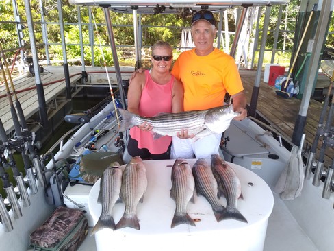 Nice Striped Bass