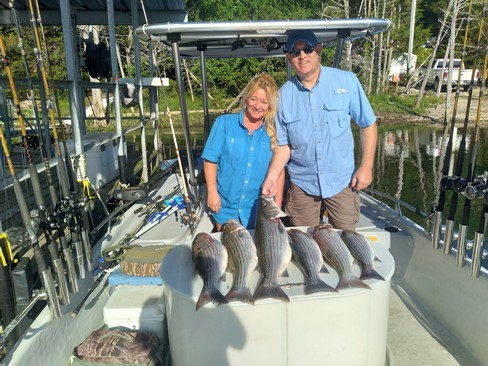 Nice Striped Bass