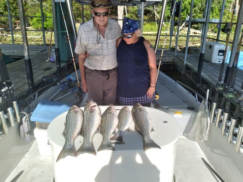 Nice Striped Bass