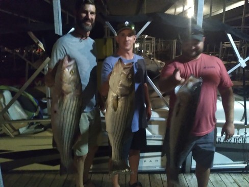Nice Striped Bass