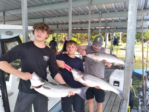 Nice Striped Bass