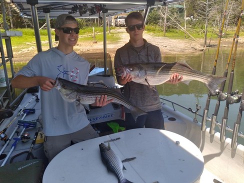 Nice Striped Bass