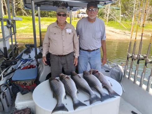 Nice Striped Bass