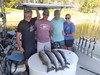 (09/20/2022) - Nice Striped Bass