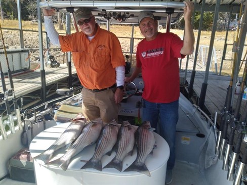 Nice Striped Bass