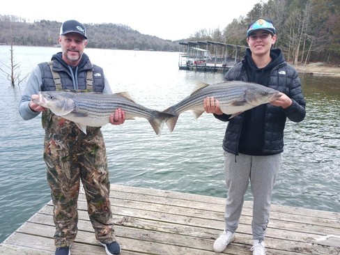 Nice Striped Bass