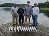 (05/28/2026) - Nice Striped Bass