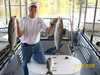 (10/03/2008) - Nice Striped Bass
