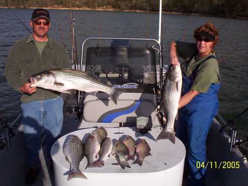 Nice Striped Bass