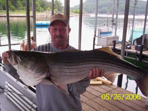 Now that is a Hog Striper