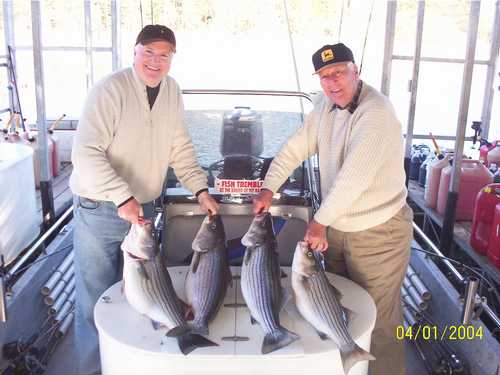 Nice Striped Bass