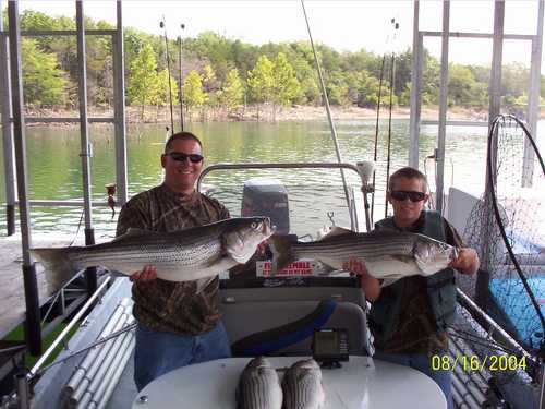 Nice Striped Bass