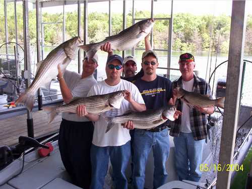 Striper fishing at it's best