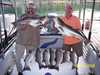 (07/14/2006) - Nice Striped Bass