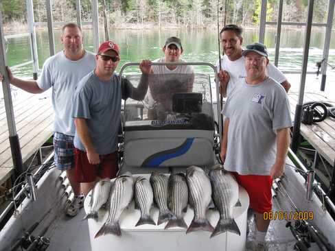 Nice Striped Bass