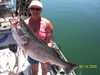 (06/14/2005) - Nice Striped Bass