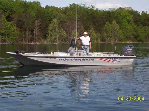 Nice Striped Bass